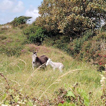 Ballyconneely House Galway Luaran gambar