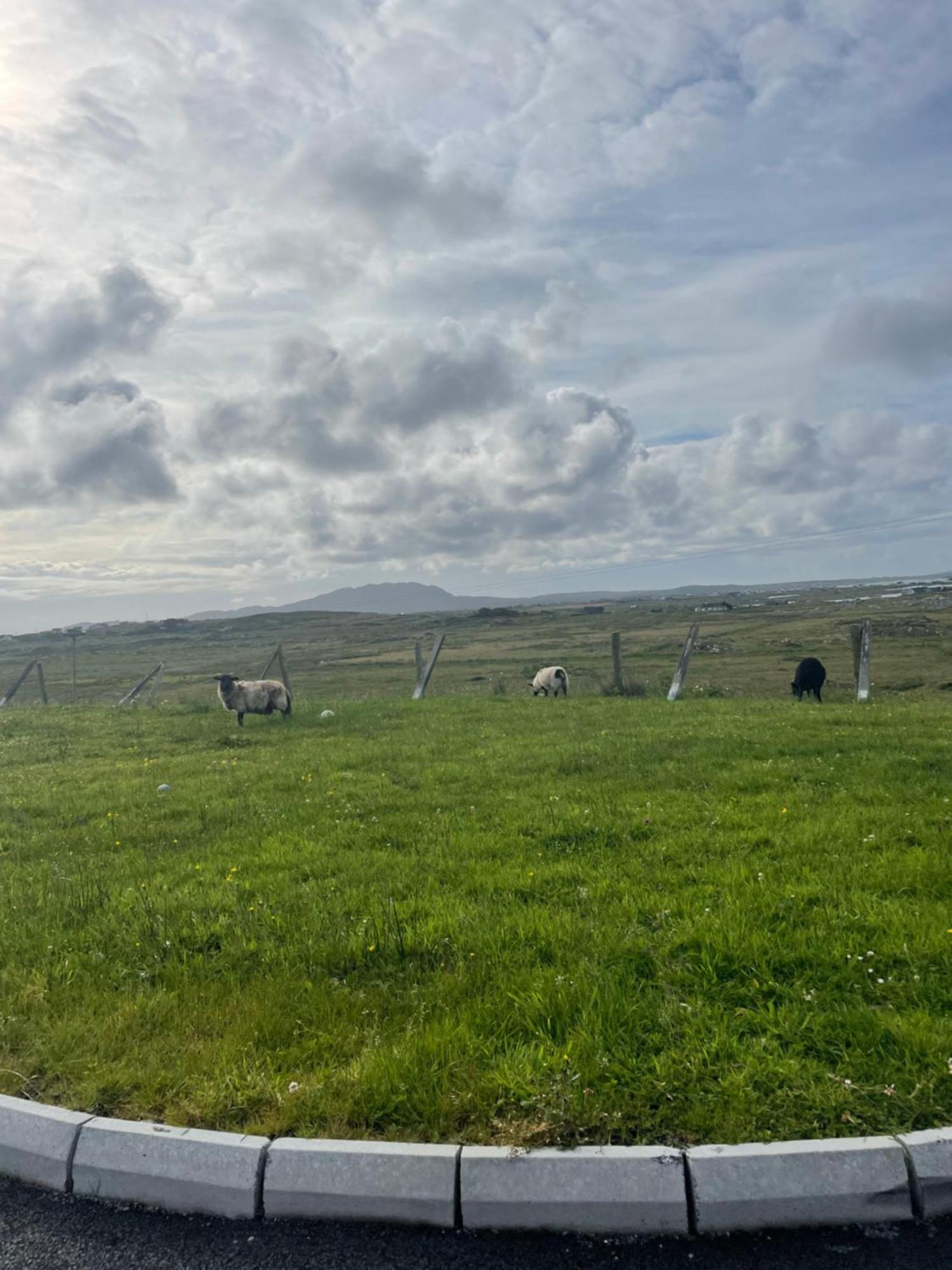 Ballyconneely House Galway Luaran gambar